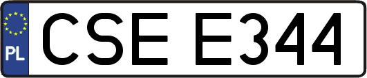 CSEE344