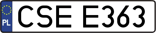 CSEE363