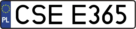 CSEE365
