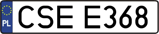 CSEE368