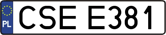 CSEE381