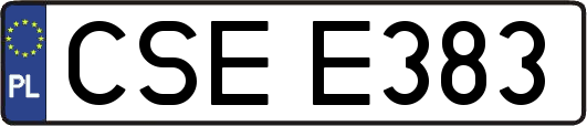 CSEE383