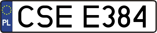 CSEE384