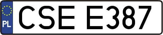 CSEE387