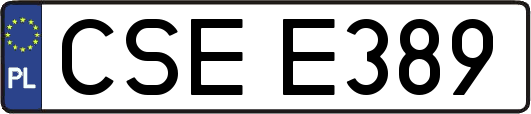 CSEE389