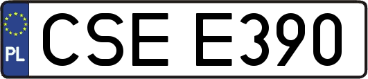 CSEE390