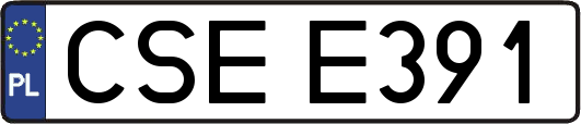CSEE391