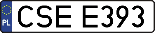 CSEE393
