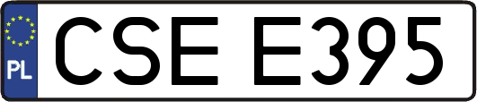 CSEE395