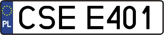 CSEE401