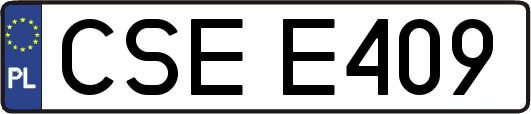 CSEE409