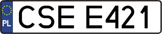 CSEE421