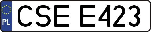 CSEE423