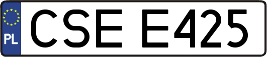 CSEE425