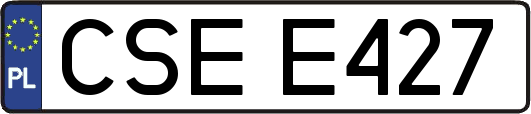 CSEE427