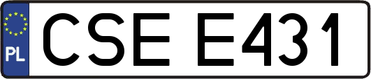 CSEE431