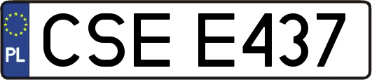 CSEE437