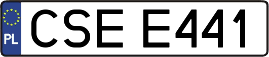 CSEE441