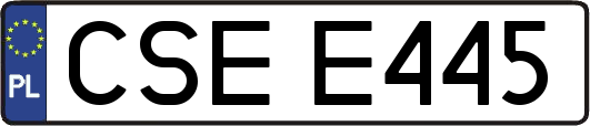 CSEE445