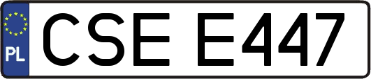 CSEE447
