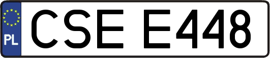 CSEE448