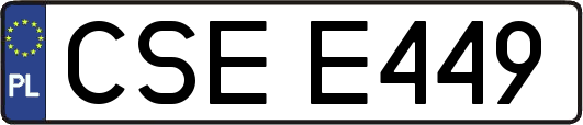 CSEE449
