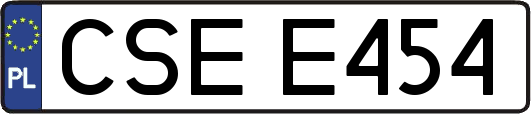 CSEE454