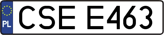 CSEE463