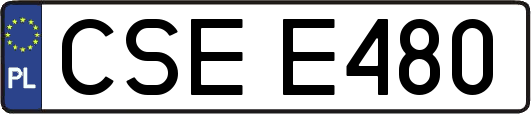 CSEE480