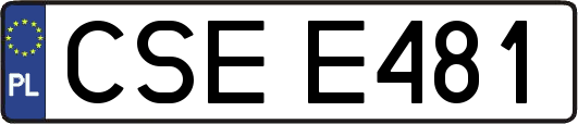 CSEE481