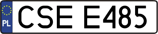 CSEE485