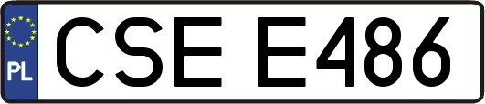 CSEE486