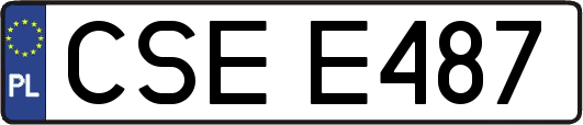 CSEE487