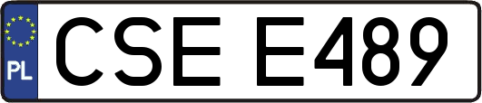 CSEE489