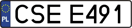 CSEE491