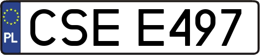 CSEE497