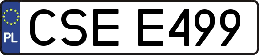 CSEE499