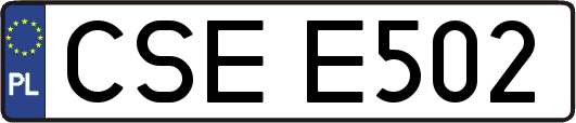 CSEE502