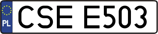 CSEE503