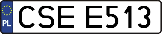 CSEE513