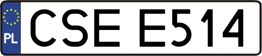 CSEE514