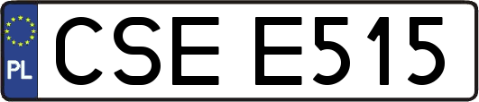 CSEE515