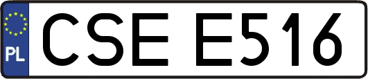 CSEE516
