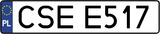 CSEE517