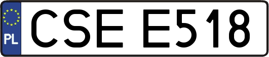 CSEE518