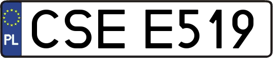 CSEE519