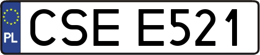 CSEE521