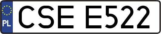 CSEE522