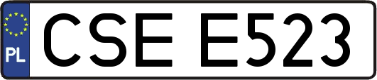 CSEE523
