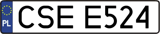 CSEE524